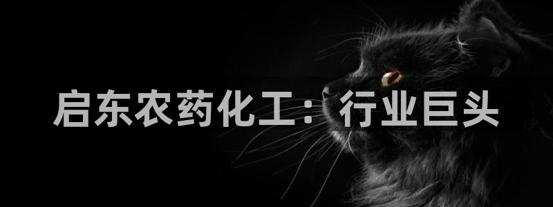 球盟会qmh电子网页版登录