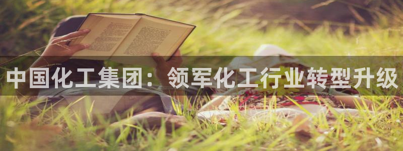 球盟会和中欧会的区别