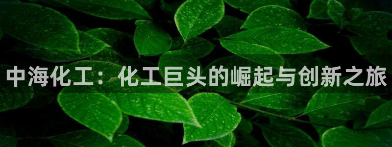 球盟会APP最新地址