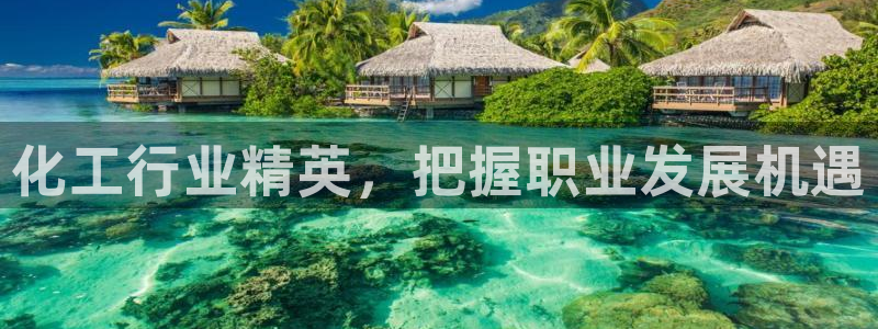 球盟会入口