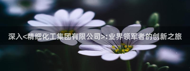 球盟会最新