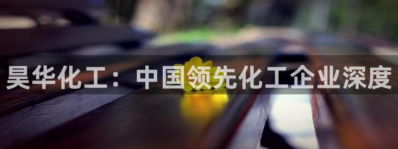 球盟会官方网址入口