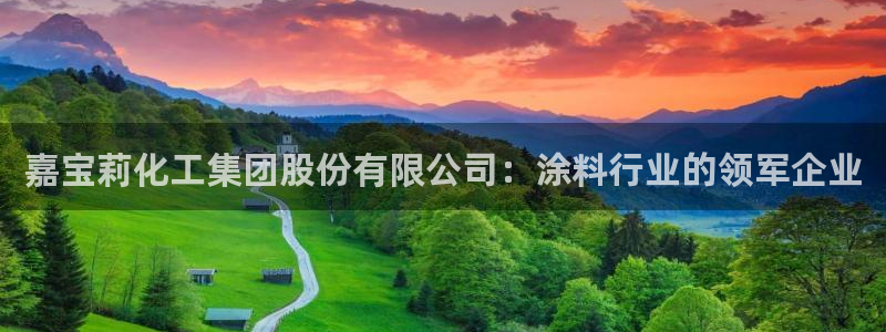 球盟会进不去