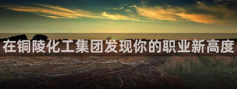 球盟会app最新地址在哪找