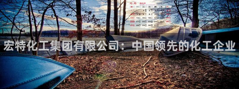 球盟会在线官网：宏特化工集团有限公司：中国领先的化工企业