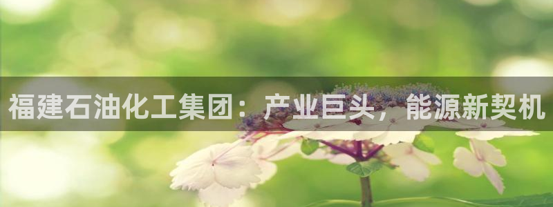 球盟会下款快吗