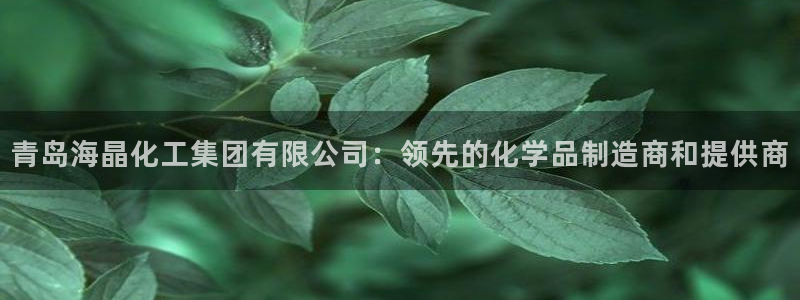 千亿球盟会乐玩：青岛海晶化工集团有限公司：领先的化学品制造商