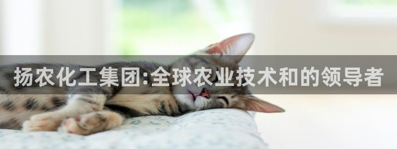 球盟会体育平台：扬农化工集团:全球农业技术和的领导者