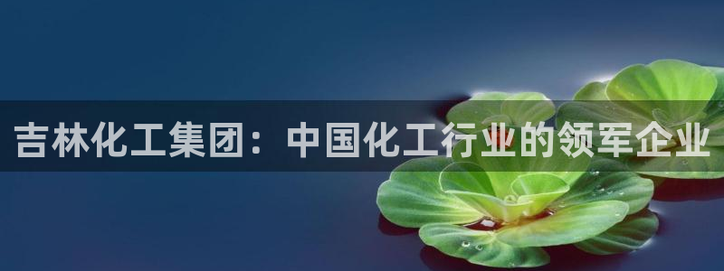 球盟会