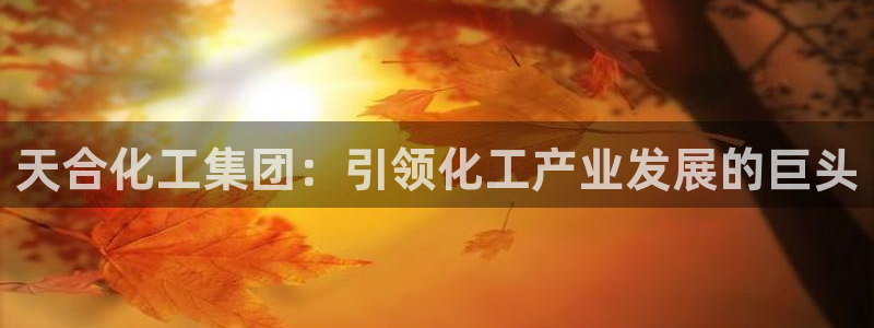 球盟会类似的网站