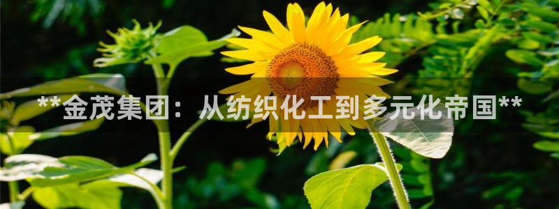 球盟会邮箱