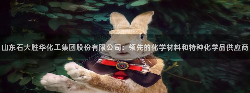 球盟会能提现吗安全吗：山东石大胜华化工集团股份有限公司：领先