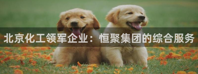 球盟会app网址多少：北京化工领军企业：恒聚集团的综合服务
