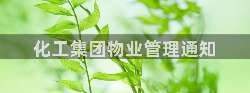 球盟会用的客服聊天是哪个软件