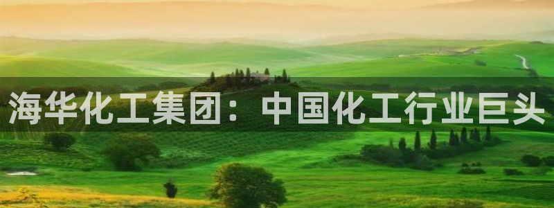 球盟会网页登录入口