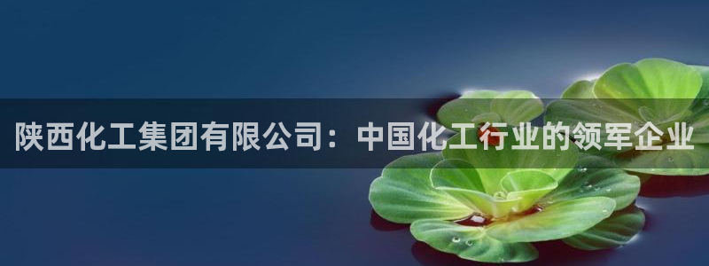球盟会优惠领取网站：陕西化工集团有限公司：中国化工行业的领军
