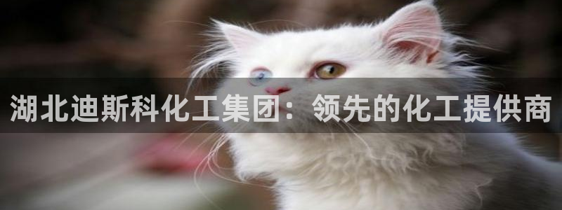球盟会下款快吗：湖北迪斯科化工集团：领先的化工提供商
