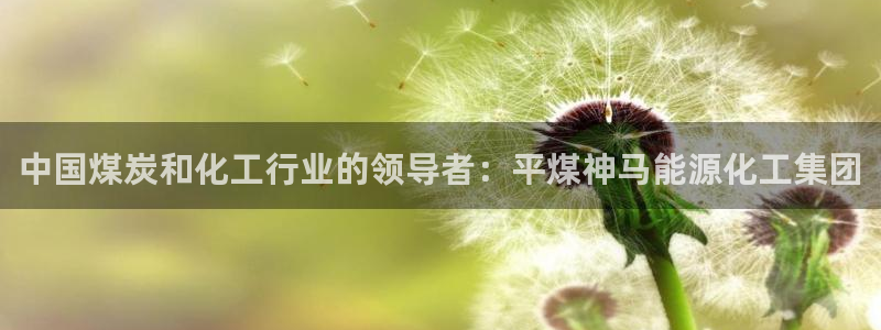 球盟会app最新地址在哪里：中国煤炭和化工行业的领导者：平煤