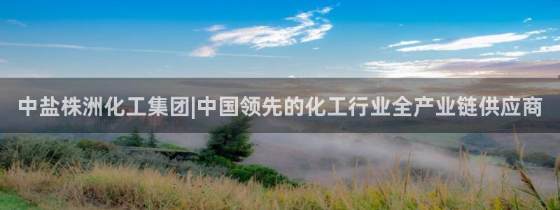 球盟会在线网站：中盐株洲化工集团|中国领先的化工行业全产业链
