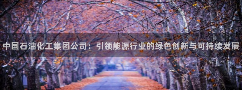 球盟会和中欧合作吗：中国石油化工集团公司：引领能源行业的绿色