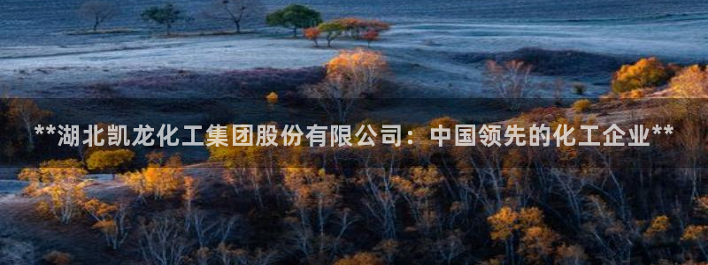 球盟会有没有黑单的球员：**湖北凯龙化工集团股份有限公司：中