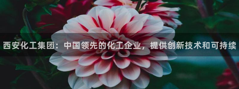 球盟会中国官方网站：西安化工集团：中国领先的化工企业，提供创