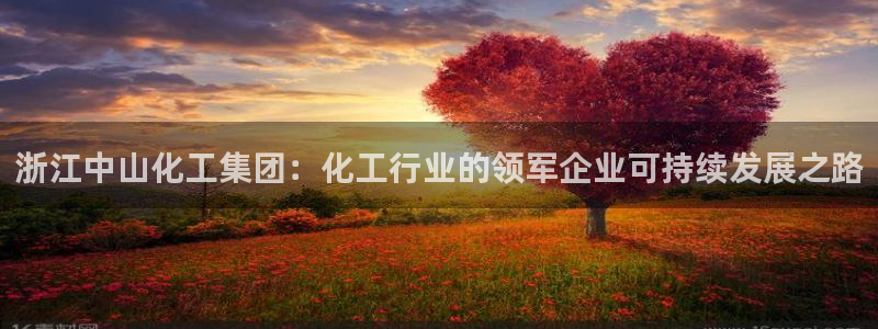 球盟会有没有黑单的球员：浙江中山化工集团：化工行业的领军企业