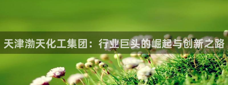 球盟会官方网址入口
