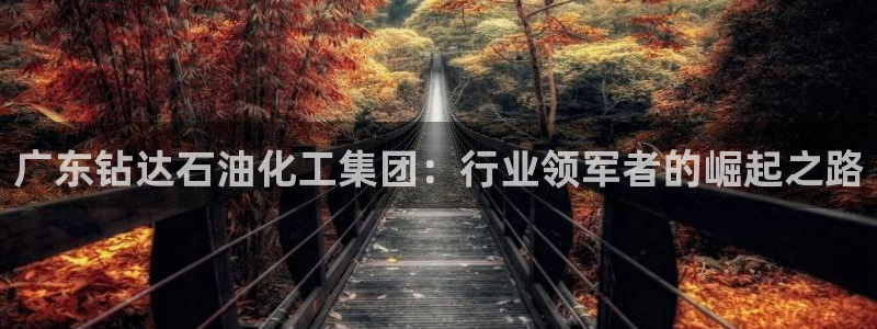 球盟会官网