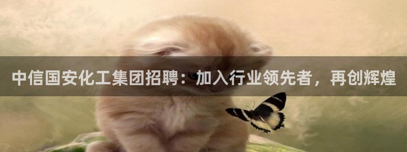 球盟会游戏