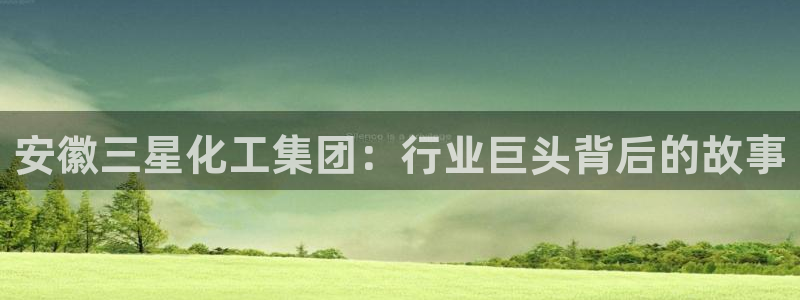 球盟会APP官网