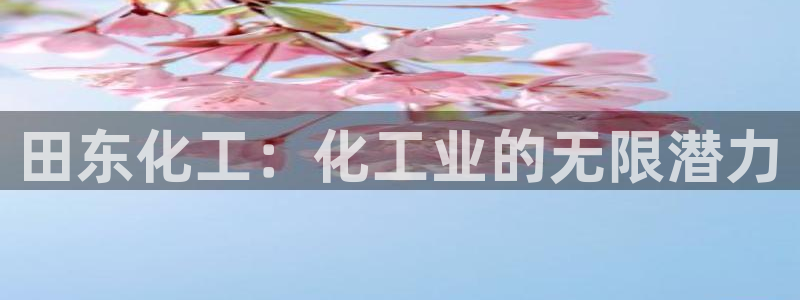 球盟会官方平台入口：田东化工：化工业的无限潜力