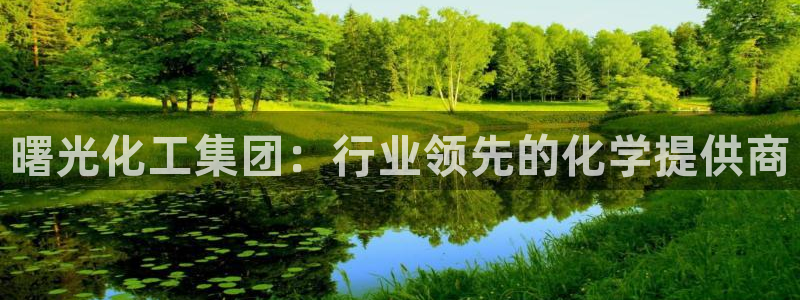 球盟会官方平台入口：曙光化工集团：行业领先的化学提供商
