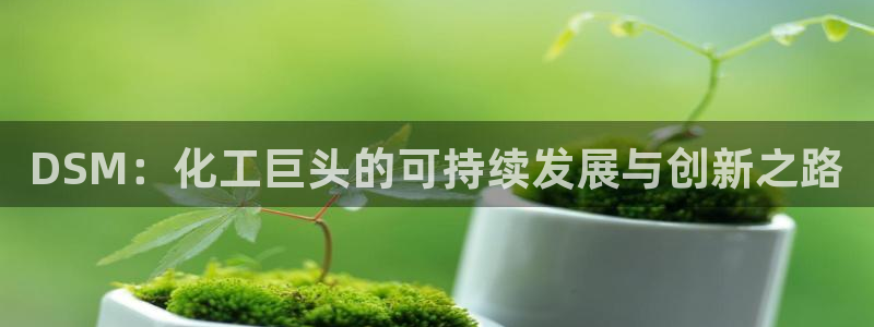 球盟会官方下载