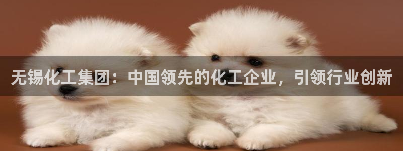 球盟会app最新地址在哪看：无锡化工集团：中国领先的化工企业