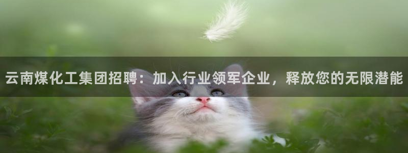 球盟会登录平台入口：云南煤化工集团招聘：加入行业领军企业，释