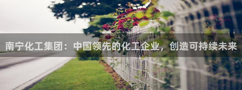 球盟会qmh官网：南宁化工集团：中国领先的化工企业，创造可持