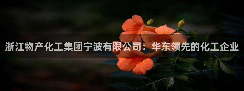 球盟会综合app下载：浙江物产化工集团宁波有限公司：华东领先