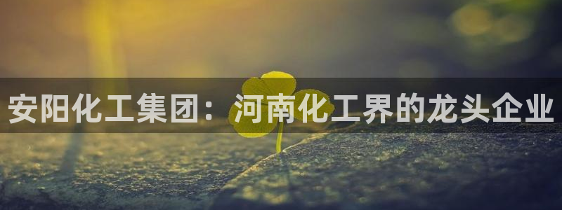 球盟会黑平台