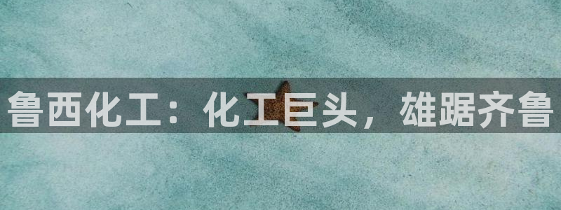 球盟会吧：鲁西化工：化工巨头，雄踞齐鲁