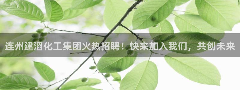 球盟会邮箱