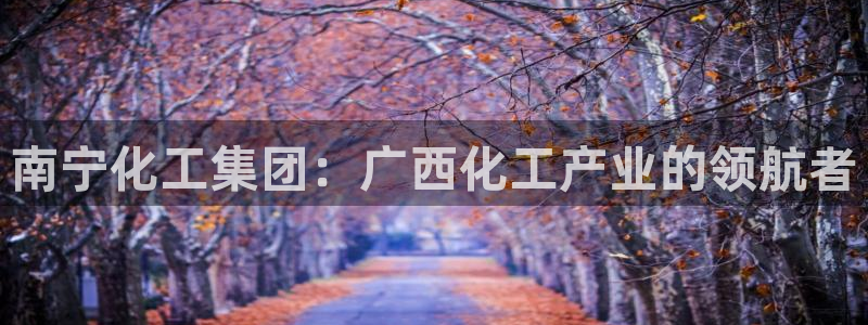 球盟会app手机登录：南宁化工集团：广西化工产业的领航者