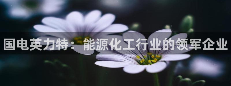 球盟会官方app首页入口