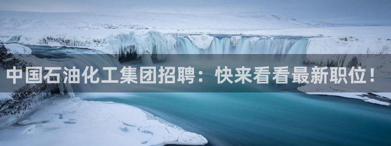 球盟会福利码2023最简单三个步骤
