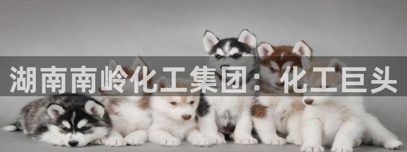 球盟会官网
