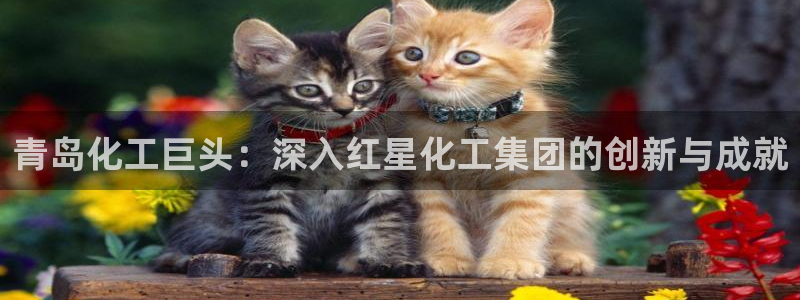 球盟会可靠不：青岛化工巨头：深入红星化工集团的创新与成就
