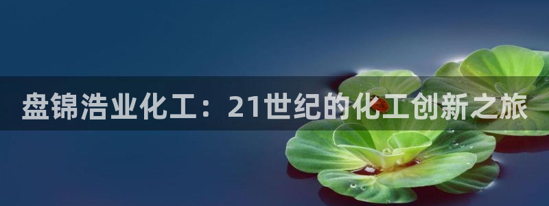 球盟会黑平台