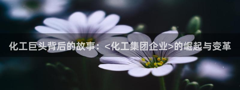 球盟会网址qm9 - 球盟会qmh网页版登录
