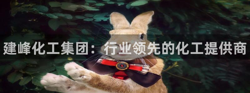 球盟会优惠码：建峰化工集团：行业领先的化工提供商