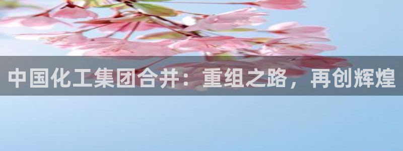 球盟会官方网页登录